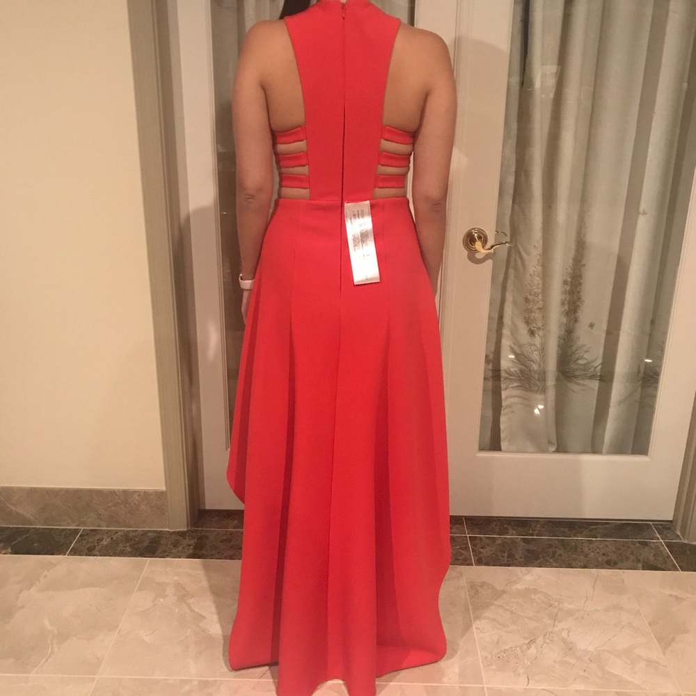Beautiful BCBGMaxazria Rosalyn Dress. Sz 10 - Picture 6 of 7